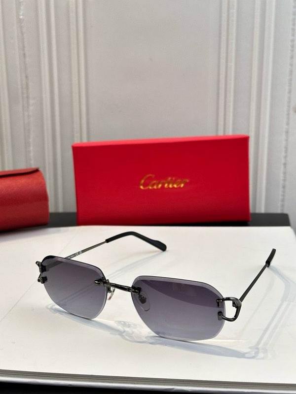 Cartier Sunglasses 1022